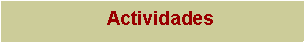 Text Box:     Actividades