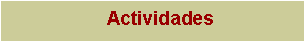 Text Box:     Actividades